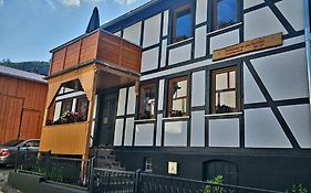 Ferienhaus zu den Ilsefällen